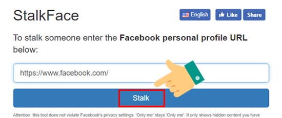 Dán URL trang cá nhân rồi chọn Stalk